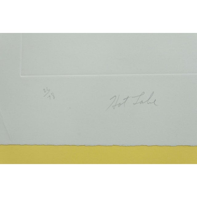 1970s James Rosenquist Hot Lake (State 1) Signed Etching on Paper 26/78 Framed 1978 For Sale - Image 5 of 10