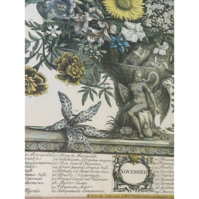 English Vintage Robert Furber November Botanical Calendar Print, Framed For Sale - Image 3 of 12