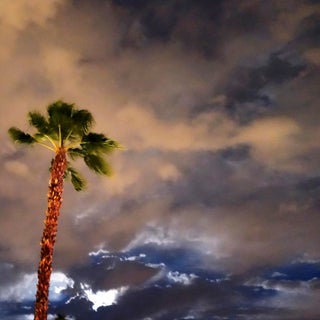 "Sentinel Palm" Contemporary Cloudscape Photograph Print For Sale