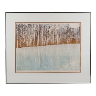 Paula Crane Signed Lithograph Reflections I Forest Lake Vintage Framed Fine Art For Sale