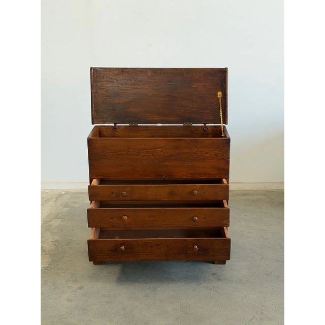 Mid 19th Century Mule Chest Dresser For Sale - Image 4 of 18