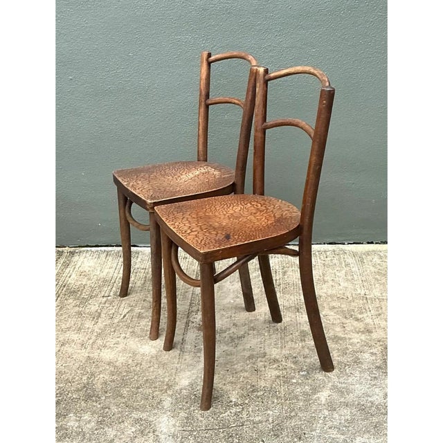 Vintage Carved Crocodile Wood Dining Chairs - A Pair For Sale - Image 9 of 12