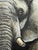 Peter Jepson (British, b.1936) African Bull Elephant at Letaba, Kruger National Park | Original Wildlife Painting c.1999 For Sale - Image 14 of 18