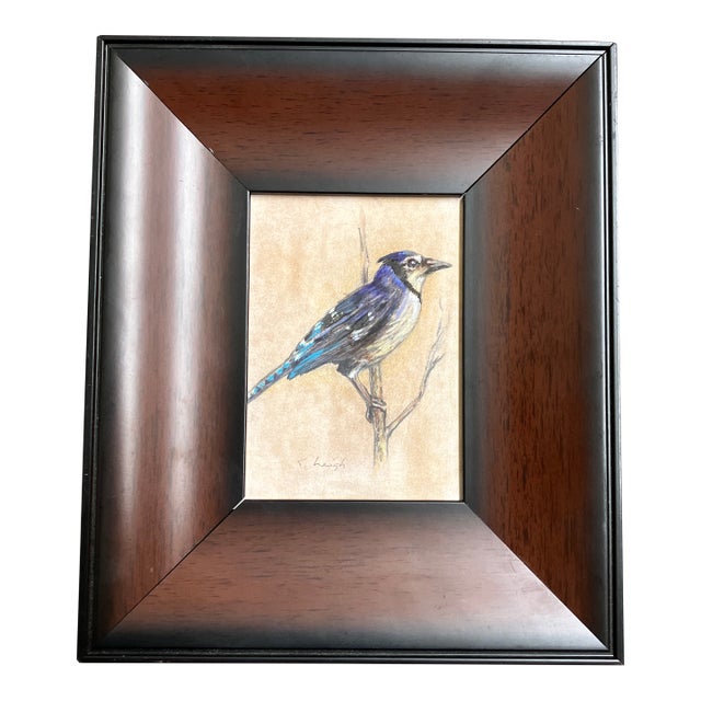 Contemporary Original Stephen Heigh Drawing/Painting “Blue Jay” Framed For Sale