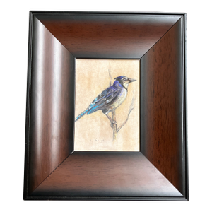 Contemporary Original Stephen Heigh Drawing/Painting “Blue Jay” Framed