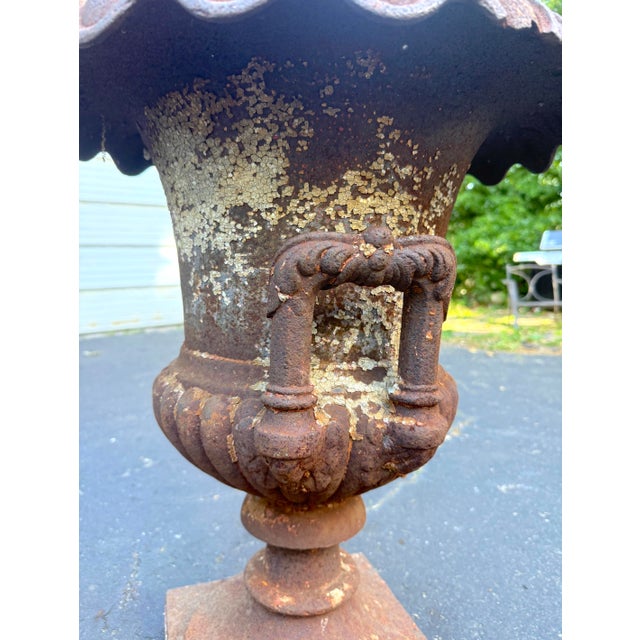 Huge Antique Late Victorian French Heavy Cast Iron Outdoor Planter Urn W/ Handle For Sale - Image 14 of 17