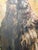 Linda Davidson Llamas Original Oil Painting Artwork on Canvas For Sale In Denver - Image 6 of 10