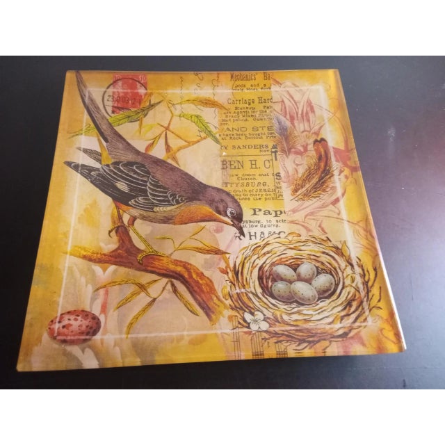 Contemporary Twos Company Reverse Painted Bird Decorative Plate For Sale - Image 3 of 6
