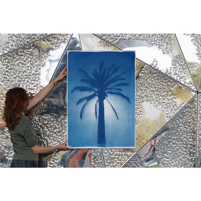 2020 Cairo Citadel Palm, Hand-Painted Cyanotype Print on Watercolor Paper For Sale - Image 9 of 12