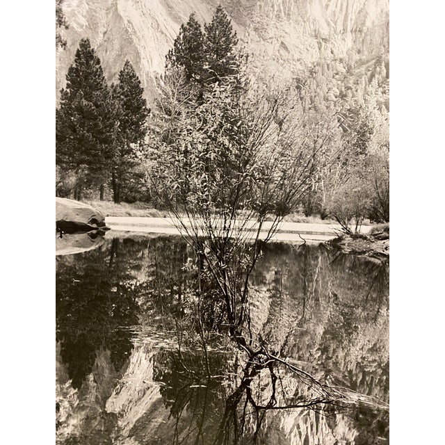 Late 20th Century Late 20th Century Robert "Bob" Werling Black & White Photograph Merced River Yosemite Valley California, Student of Ansel Adams For Sale - Image 5 of 12
