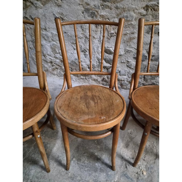 Vintage Bentwood Bistro Chairs from Fischel, Czechoslovakia, 1940s, Set of 4 For Sale - Image 6 of 18