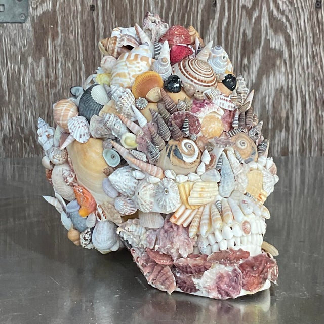 Vintage Coastal Shell Encrusted Skull For Sale In West Palm - Image 6 of 8