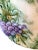 French 19th Century Grape Plate For Sale - Image 4 of 7