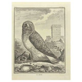 C. Haussard, La Buse, Etching, 1771 For Sale