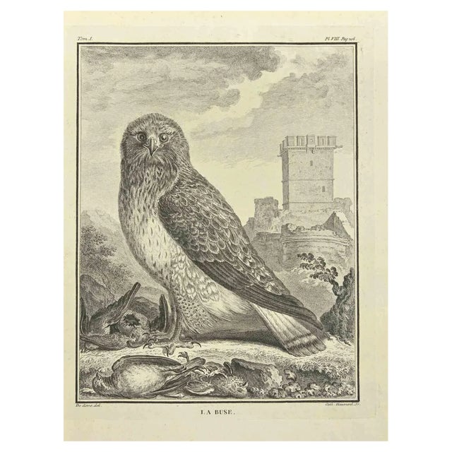 C. Haussard, La Buse, Etching, 1771 For Sale