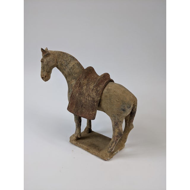 Tang Horse With Removable Saddle For Sale - Image 4 of 6