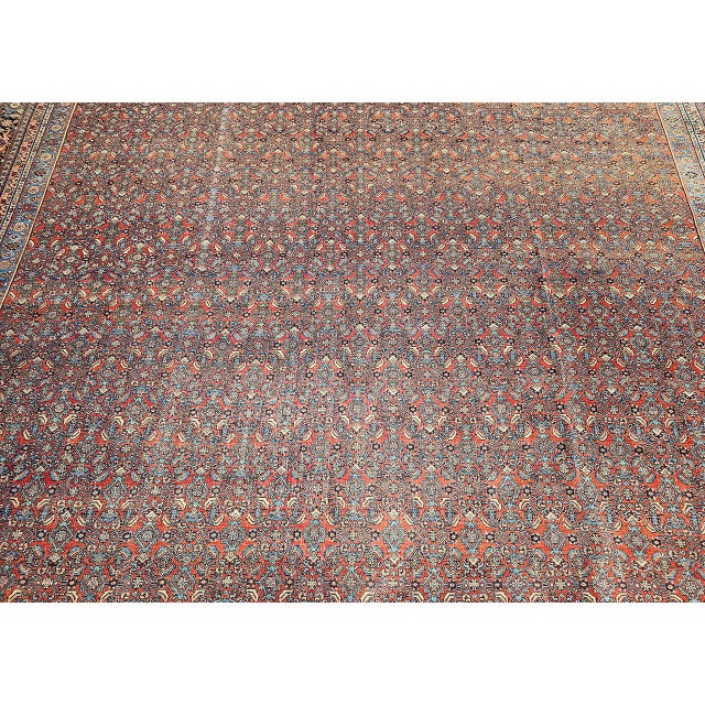 Early 20th Century Bidjar Rug For Sale - Image 12 of 18