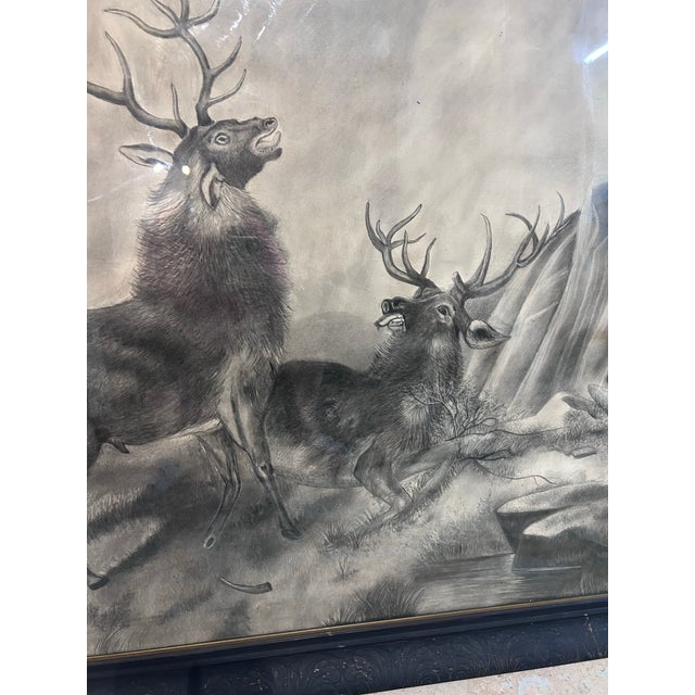 Monumental Black and White Original Charcoal of Wild Elk. For Sale - Image 9 of 10