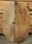 Pair of Circa 1890 Weathered French Hunt Trophies on Natural Oak Oval Panels For Sale - Image 17 of 18