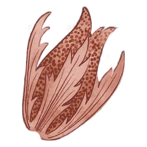 Morris & Co. Lent Lily Wallpaper in Indigo/Madder- a sample For Sale