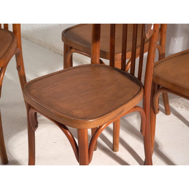 Bentwood Chairs in the style of Thonet, Central Europe, 1930, Set of 4 For Sale - Image 3 of 12
