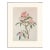Cuvier's Regulus After Audubon, 1966 Cottage Print For Sale