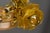 French Neoclassical Style Amber Alabaster and Frosted Glass Chandelier, 1920 For Sale - Image 16 of 18