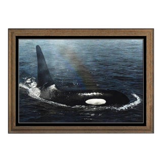 1990s Rainbow Spray Orca, Terry Allen Isaac For Sale
