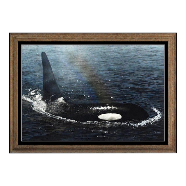 1990s Rainbow Spray Orca, Terry Allen Isaac For Sale