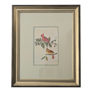 Vintage Red and Yellow Cardinals Print For Sale