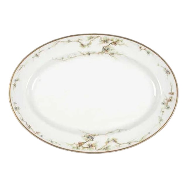 19th Century Oval Serving Platter Schleiger 432 by Haviland For Sale