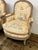 19th Century Delmar Chinoiserie Printed Bergere Chairs, Pair For Sale - Image 4 of 12