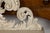 Italian Rococo Style 19th Century Painted Fragment with Carved Acanthus Leaves For Sale - Image 9 of 12