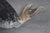 Monumental Brass or Bronze Fish or Koi Statue For Sale - Image 4 of 8