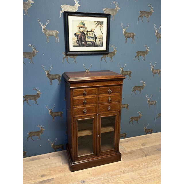 Antique Music Cabinet, 1800s, in Flawless conditions. Designed before 1890
