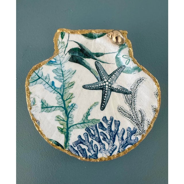 Costal Seashell Trinket Dishes Set of 3. For Sale - Image 4 of 6