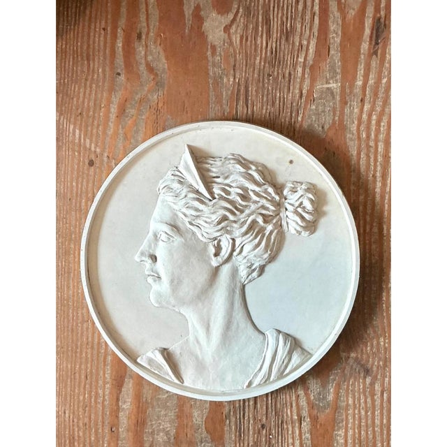 Vintage Bas Relief Portrait of Artemis Medallion For Sale - Image 12 of 12