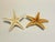 Late 20th Century Vintage Natural Starfish Specimens -2 For Sale - Image 5 of 6