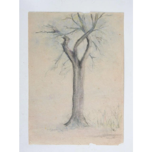 Small antique circa 1910 watercolor on paper landscape with lone tree painting. Unsigned. Unframed, age toning, edge losses.