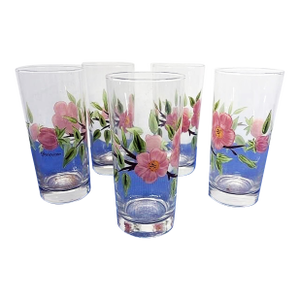 Franciscan China Desert Rose Water Tumbler Glasses-Set of 5
