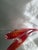 Red Large Red Sommerso Murano Glass Fish Vase with Applied Clear Fins from 1295 Murano, Italy, 1960s For Sale - Image 8 of 14