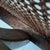 Nr. 1 - Nr. 5101 Swivel Chair with Backrest from Thonet, 1900s For Sale - Image 10 of 11