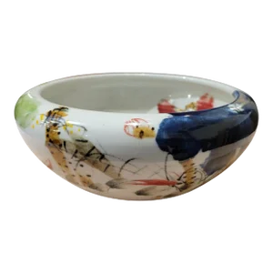 Jingdezhen Porcelain Decorated Bowl