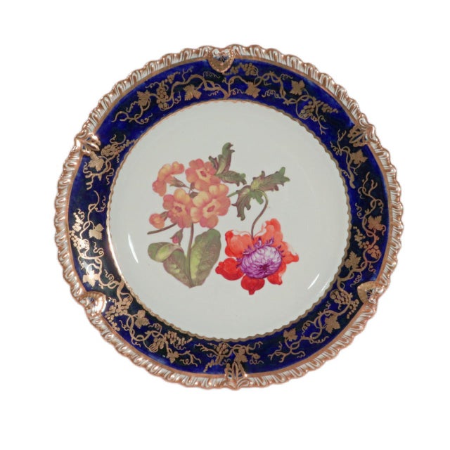Coalport Porcelain Botanical Plates, Set of Twelve, John Rose For Sale - Image 9 of 16