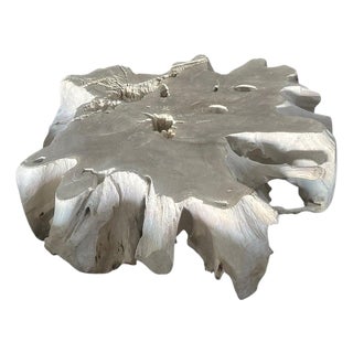 Andrianna Shamaris Bleached Teak Wood Root Coffee Table For Sale