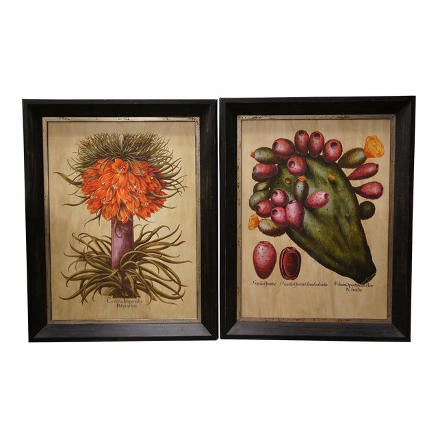 2 Large Botanical Prints Fruit Stem Indian Fig & Crown Imperial Fritillary For Sale