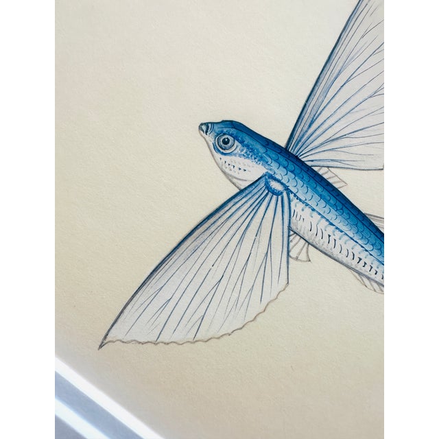 Nautical Original Hand-Painted Flying Fish Painting, Framed For Sale - Image 3 of 3