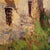 Italian Artist, View of Houses, 1930, Oil on Board, Framed For Sale - Image 13 of 16