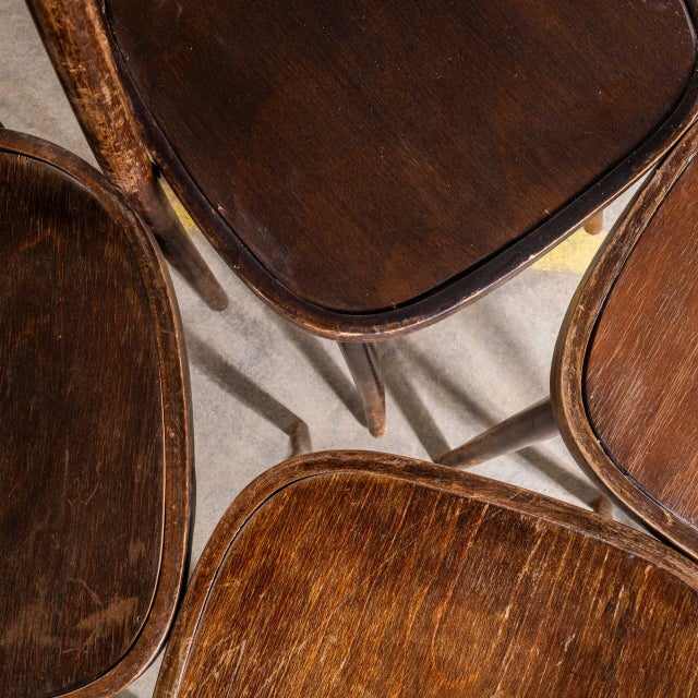 Vintage Dark Oak and Refined Bentwood Dining Chair, 1950s For Sale - Image 9 of 11