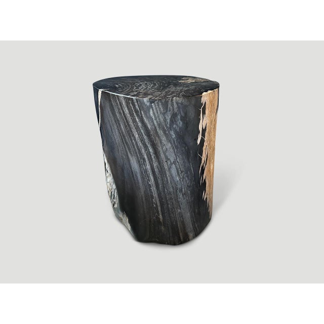 Andrianna Shamaris Exquisite High Quality Petrified Wood Side Table For Sale - Image 14 of 18